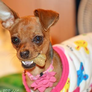 Meet your Posher, Lisa